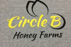 Cirlce-B-front-of-tee